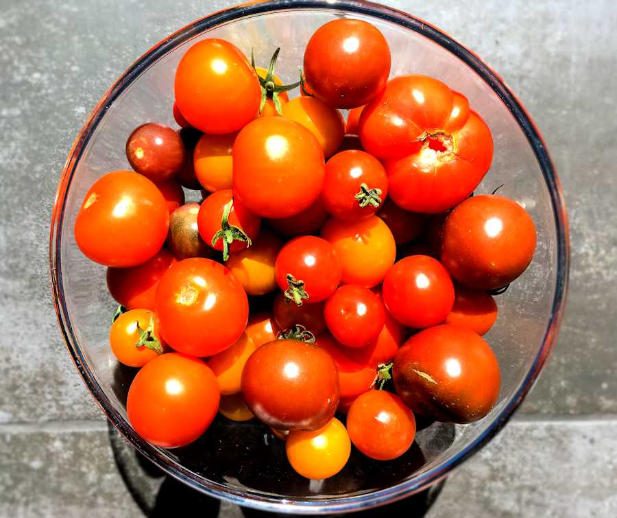 Green Beans And Tomatoes Recipe Cuisine Fiend